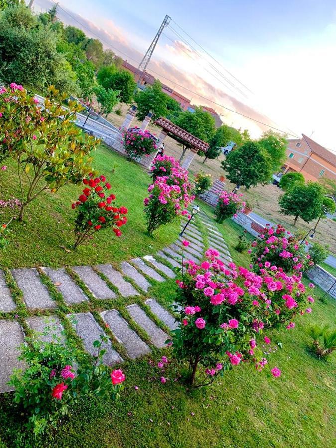 B&B da Mary Matrice Bagian luar foto